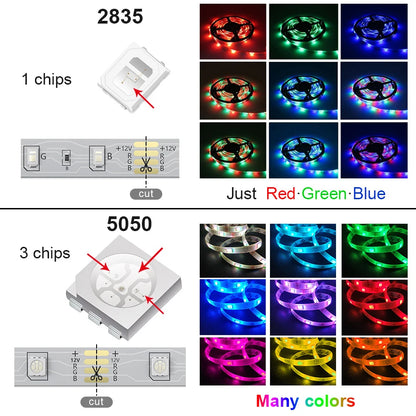 Bluetooth Wifi APP Controller LED Strip Lights RGB 5050 SMD Flexible Ribbon USB LED Light with Power Adapt Tape Diode